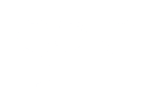 go-e logo