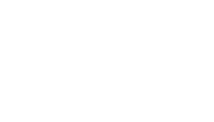 Samarbejdspartner go-e